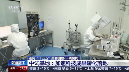 一線見聞丨順藤摸瓜 深圳科創青藤體系，如何賦能硬科技轉化？