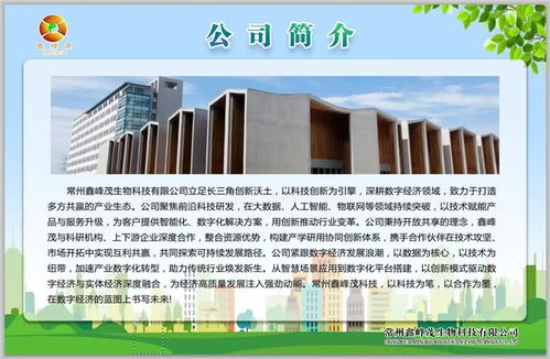 鑫峰茂 以技術服務為舟，奮力突破千層浪，勇者踏平萬重山